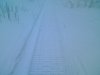 IMG0627A.jpg