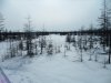 SAM_0520.JPG