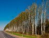Минск 2012-565.jpg