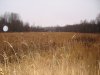DSC04930.JPG