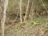 DSC04946.JPG