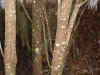 DSC04927.JPG