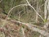 DSC04944.JPG