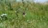 100_0115.jpg