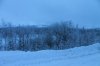 IMG_3804.JPG