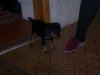 DSCN0358.JPG