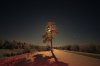 DSC00093.JPG
