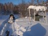 Колея1.jpg