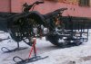497359t.jpg
