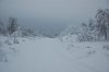 DSC_7065.JPG