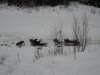 DSCN0395.JPG
