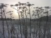 2009 01 04 pic 21.JPG