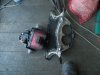 DSCN3566.JPG