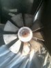IMG0048A.jpg
