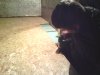 IMG_20130925_233906_0.jpg