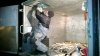 WP_20130928_017_изменение размера.jpg