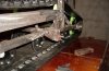 SDC11198.JPG
