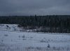 100_0911.JPG