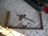 DSC00031.JPG