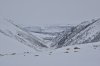 DSC_1556.JPG