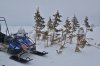 DSC_1557.JPG