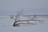 DSC_1560.JPG