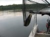 IMG_0737.JPG