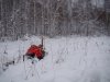 DSC07467.JPG