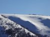 DSC00469.jpg