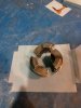IMG_20170412_215714.jpg