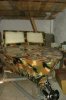 DSC01985.jpg