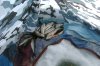 DSC00851.JPG