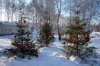 P1080781.jpg