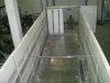 DSCN1423.JPG