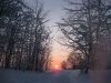 IMG_1106.JPG