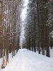 IMG_2737.JPG