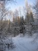 IMG_2738.JPG