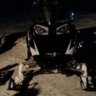 Dogskiller