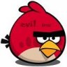 Angry bird