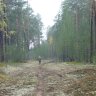 Андрей Кетть