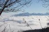 IMG_0680.JPG