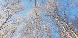 20191219_105543.jpg