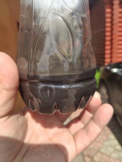 IMG_20200507_113941.jpg