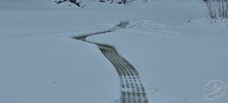 20220109_132512.jpg