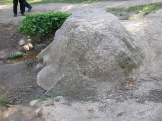 IMG_0258.JPG