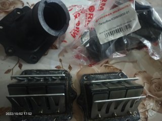 IMG20221002175201.jpg
