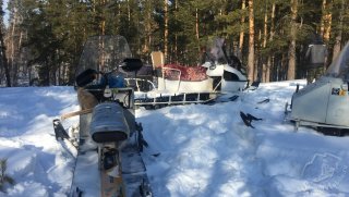 IMG_8441.JPG