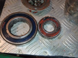 IMG_20231104_171113.jpg