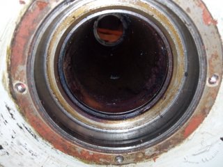 IMG_20231104_172059.jpg