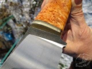 IMG_4406.JPG